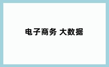 电子商务 大数据